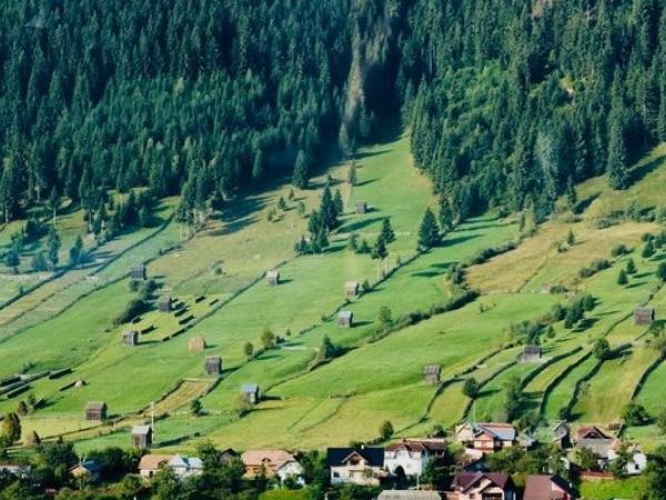Closing the Rural Broadband Gap with SD-WAN