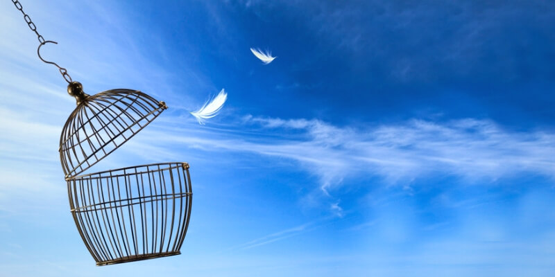 How to Avoid SD-WAN Vendor Lock-In