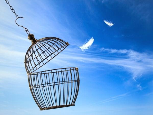 How to Avoid SD-WAN Vendor Lock-In