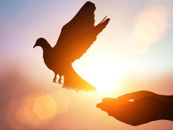 Secure Freedom and Control for your SD-WAN