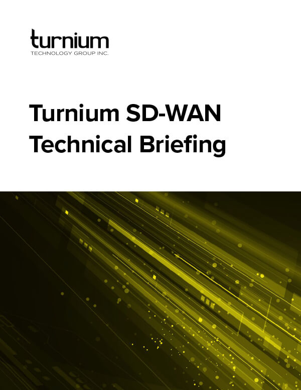 SD-WAN Technical Briefing​